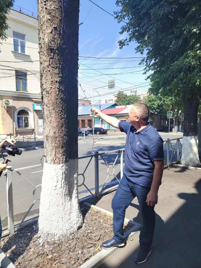 Вандалы оборвали подсветку деревьев на улице Ленина. 