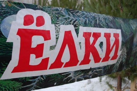 18 декабря во Владикавказе начнут работу елочные базары