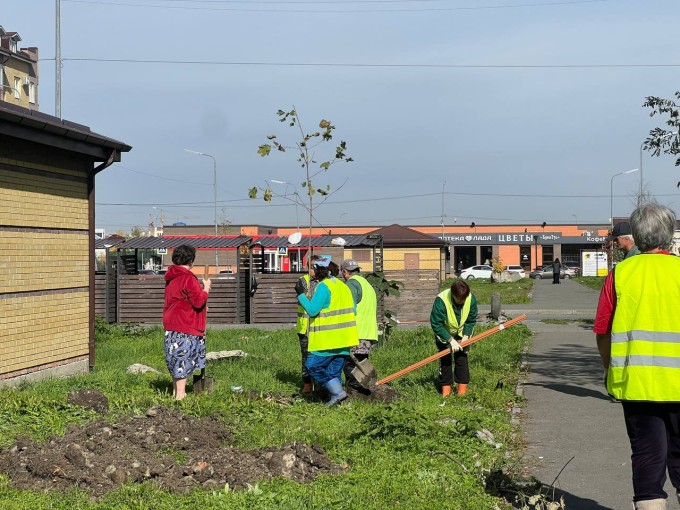 Администрация Владикавказа предоставила жителям микрорайона «Московский» 40 саженцев дуба и клена