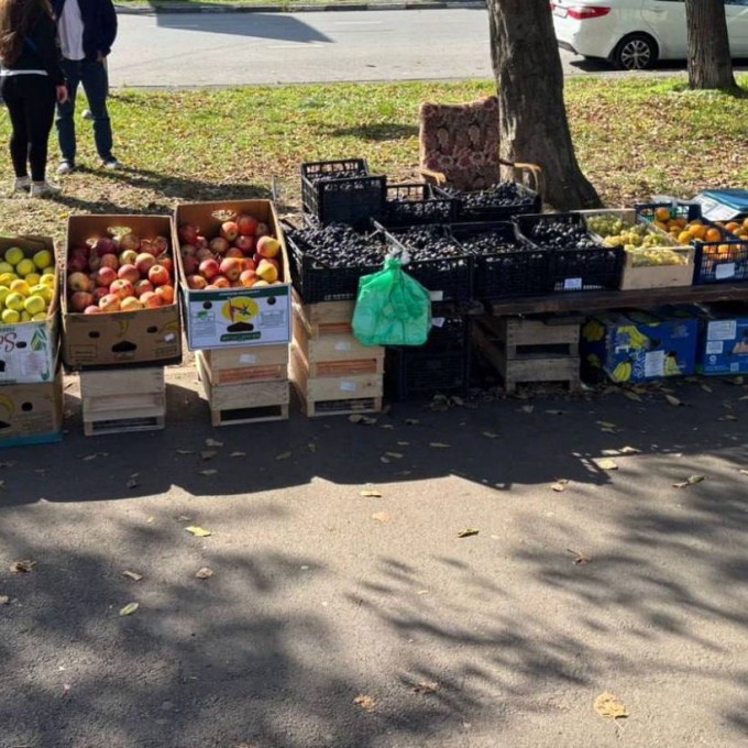 Сотрудники УКГХ АМС Владикавказа за неделю составили 31 протокол о нарушениях