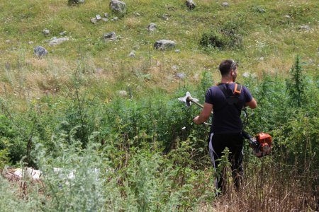 Уничтожение очагов дикорастущих наркотических растений вменено в функции антинаркотической комиссии Владикавказа