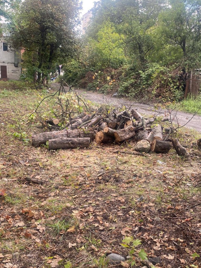 Специалисты предприятия «Владлес-Экология» приступили к уборке сквера на углу улиц Тельмана и Пожарского  