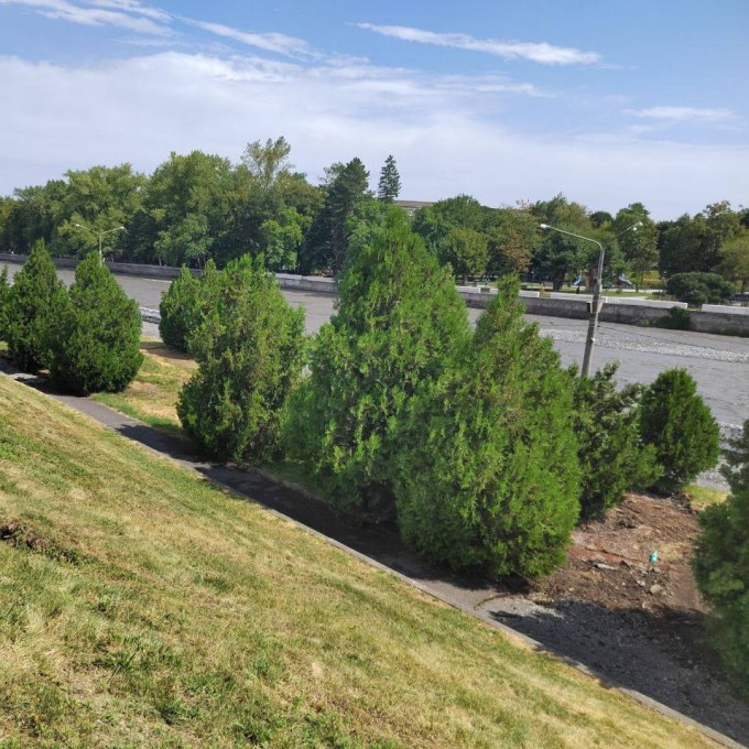 Из личного тг-канала В.Э. Мильдзихова.