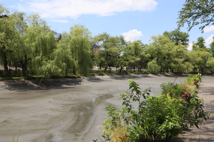 Подачу воды в парковые пруды скоро восстановят.