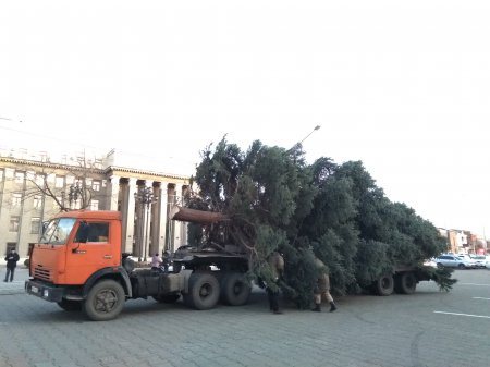 Главная ёлка Республики прибыла во Владикавказ