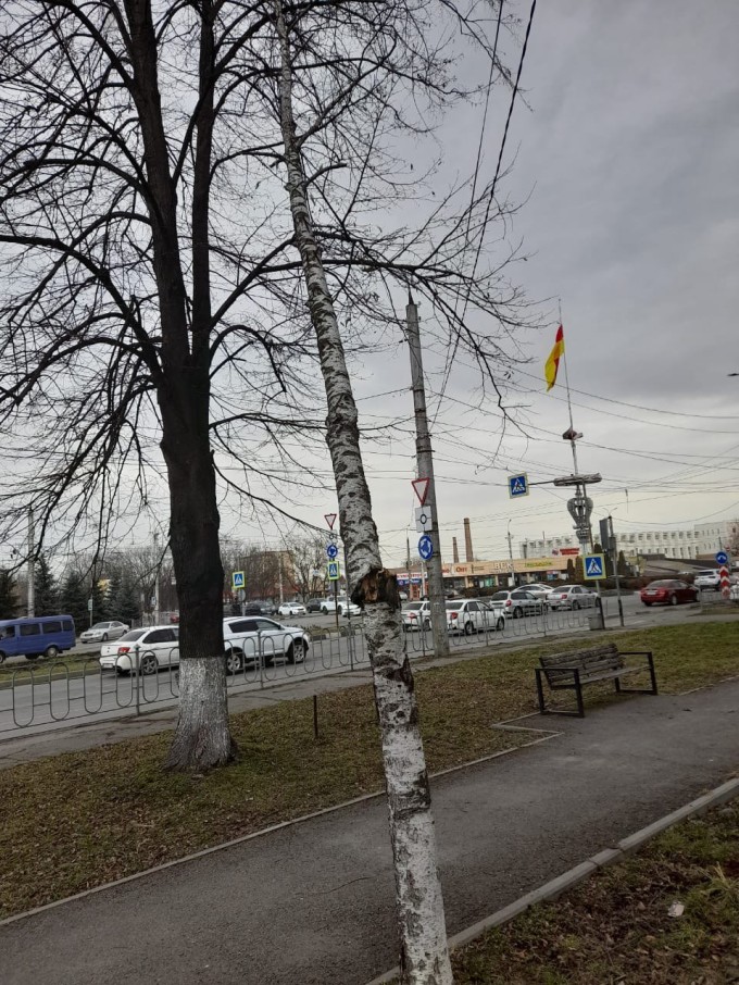 С самого утра специалисты «Владзеленстроя» продолжают работы по ликвидации последствий непогоды.