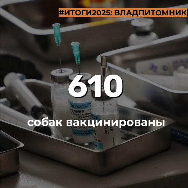 Итоги Владпитомника