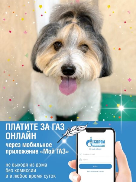 Газпром межрегионгаз и газораспределение Владикавказ информирует