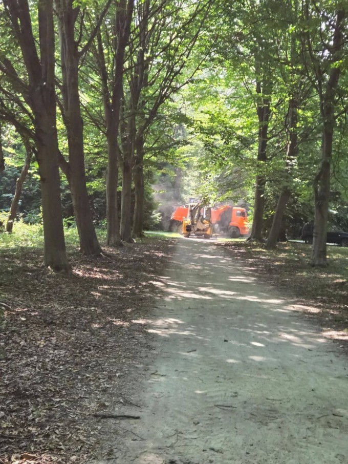 Продолжается санитарная очистка парка «Дендрарий»