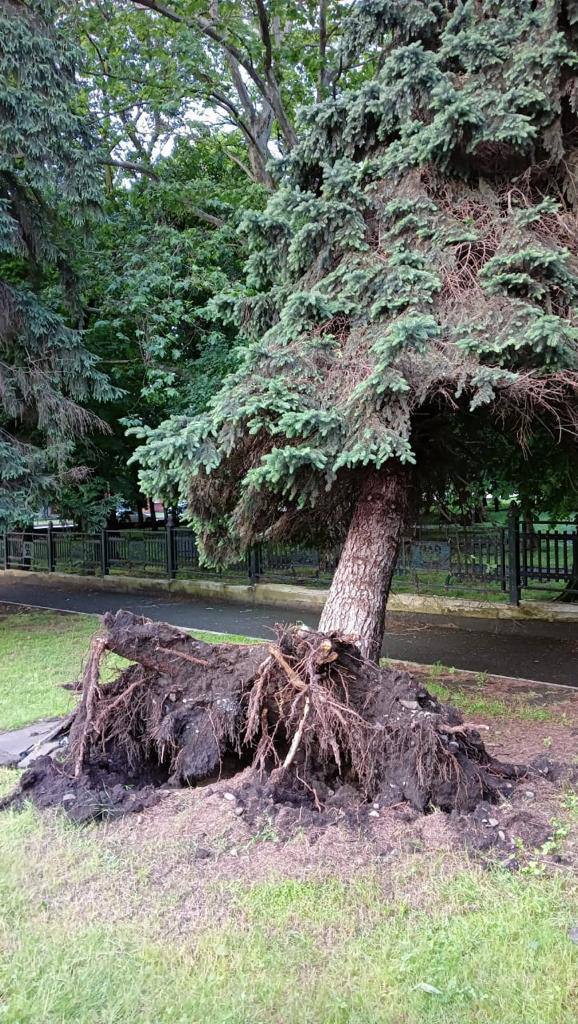 Владзеленстрой завершил работы по ликвидации последствий стихии.