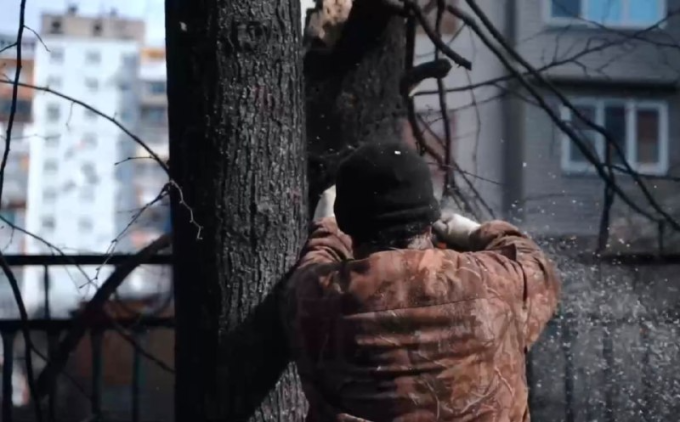 Во Владикавказе продолжается санитарная обрезка деревьев по заявкам горожан