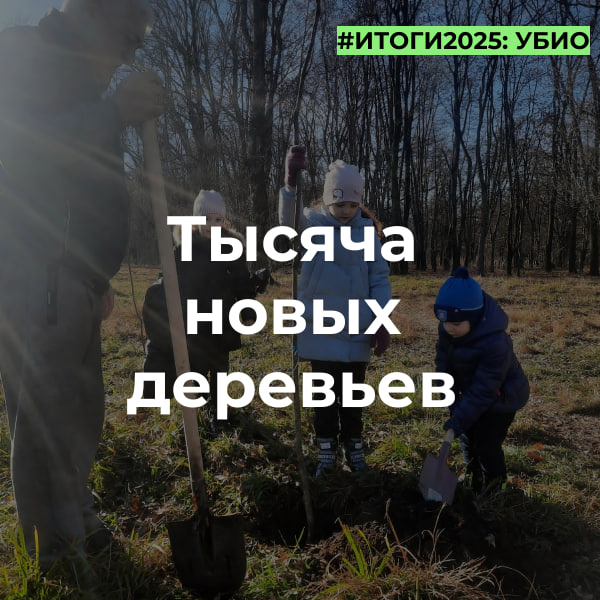 Управление благоустройства подводит итоги