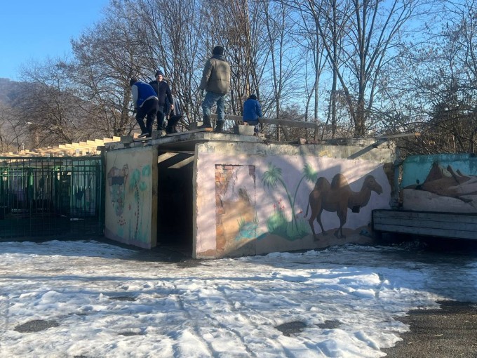 Во владикавказском зоопарке впервые за 25 лет меняют кровлю вольеров. 