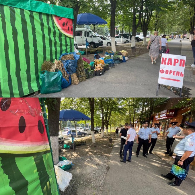 Северо-Западная префектура провела рейд по пресечению незаконной торговли