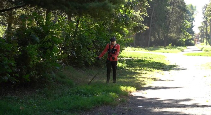 Сотрудники Иристонской префектуры продолжают следить за санитарным состоянием Комсомольского парка