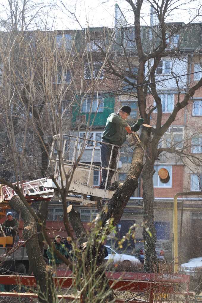 Сказано – сделано!