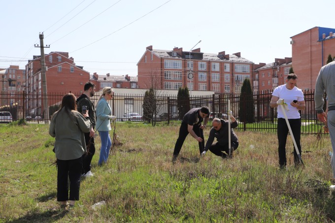 И на БАМе будут яблони цвести.  500 яблоневых деревьев будет высажено в микрорайоне БАМ.