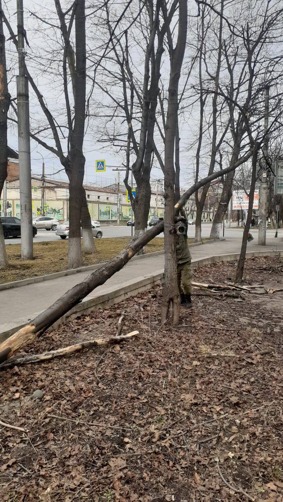 Администрация Владикавказа ликвидировала последствия шквалистого ветра