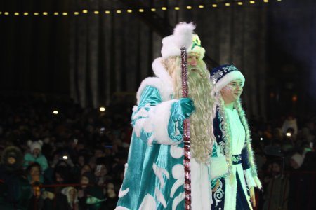 Главная ёлка Северной Осетии зажгла свои огни