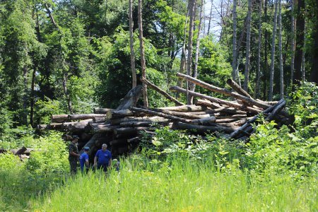 В районе Сапицкой будки начались работы по благоустройству